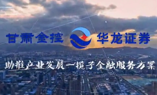 华体会手机网页版登录入口助推产业发展一揽子金融服务方案汇报片